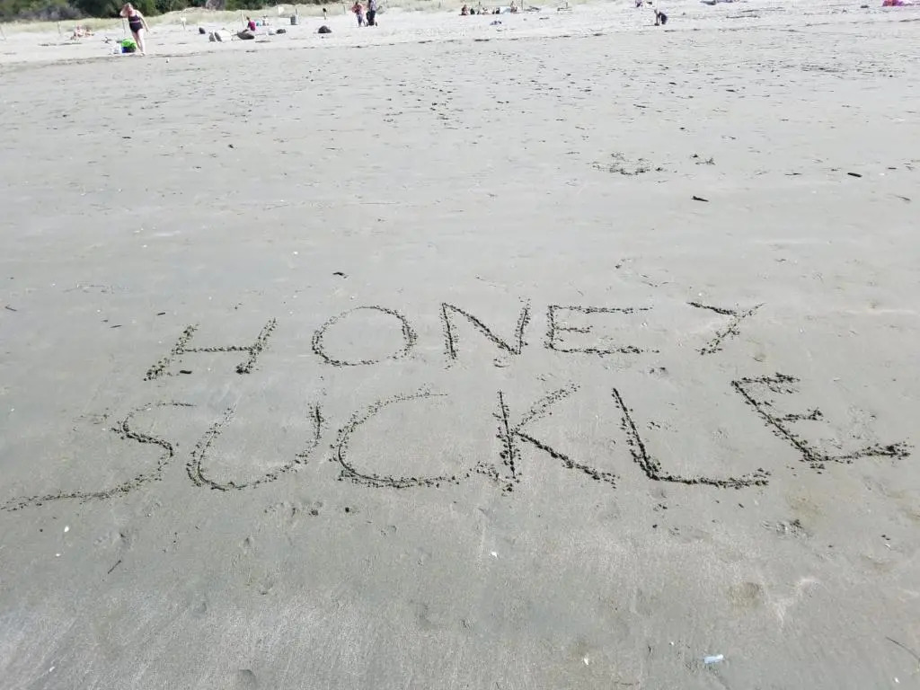 Honeysuckle House
