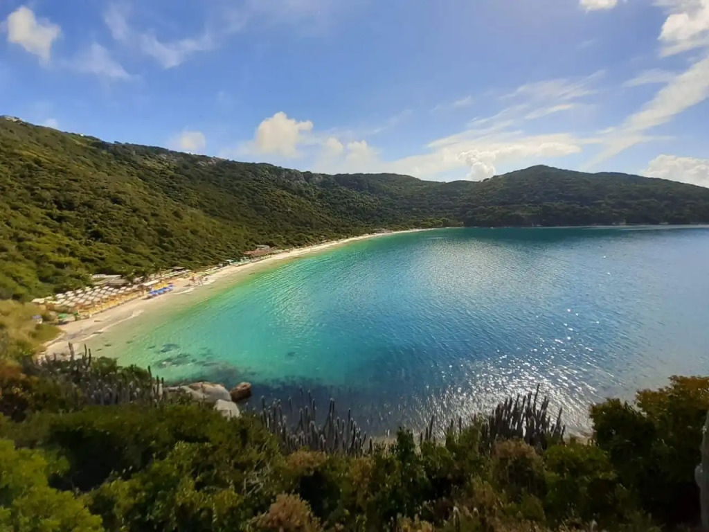 Samba Bossa Nova Cabo Frio