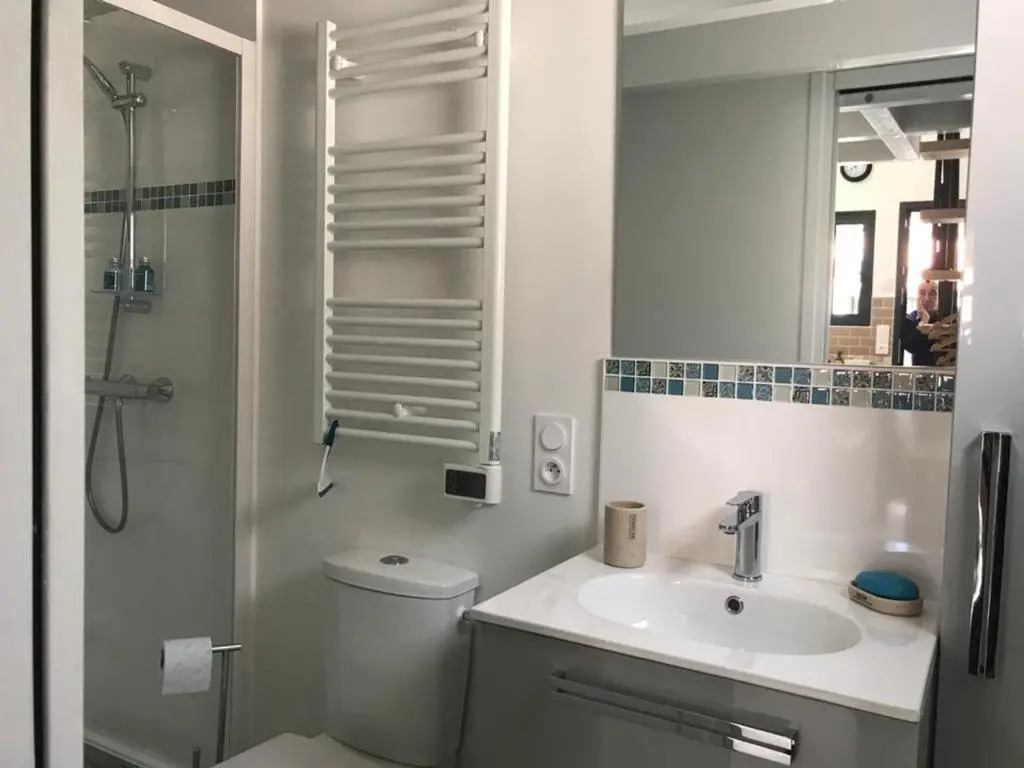 Appartement Arcachon, 1 pièce, 4 personnes - FR-1-474-161