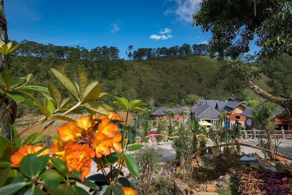 Green Bee Bungalow