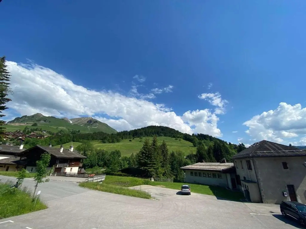 Appartement Le Grand-Bornand, 1 pièce, 4 personnes - FR-1-241-217