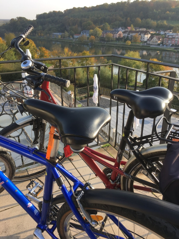 Hotel & Restaurant Zur Moselterrasse