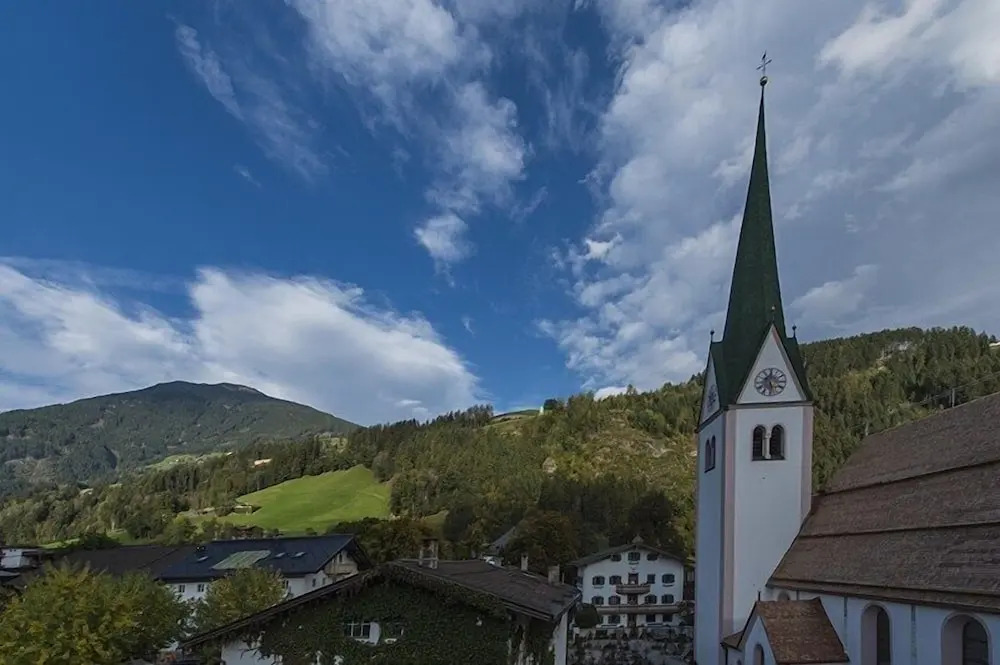 der Pinzger