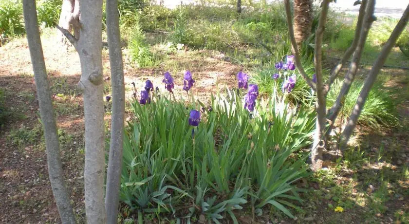 Villa Serrazze
