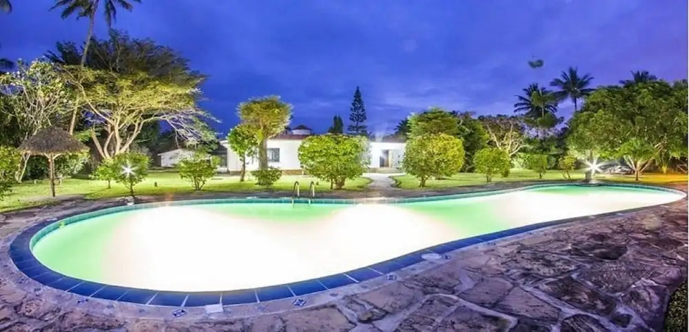 Olive House