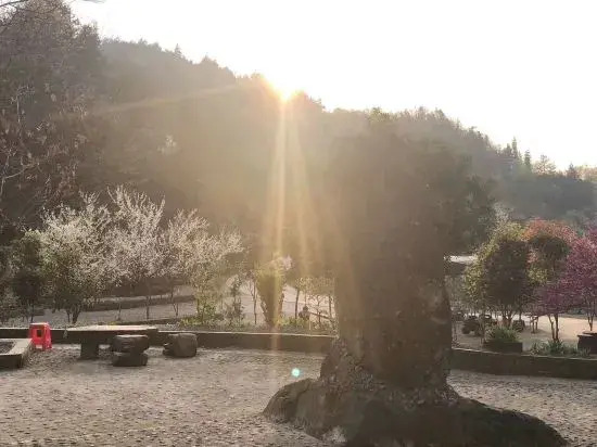 Xishan Yunshe (Zhangjiajie Forest Park Scenic Area)