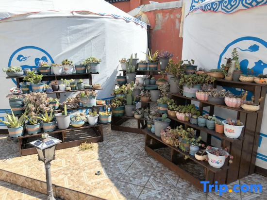 Moon Bay Holiday Hotel
