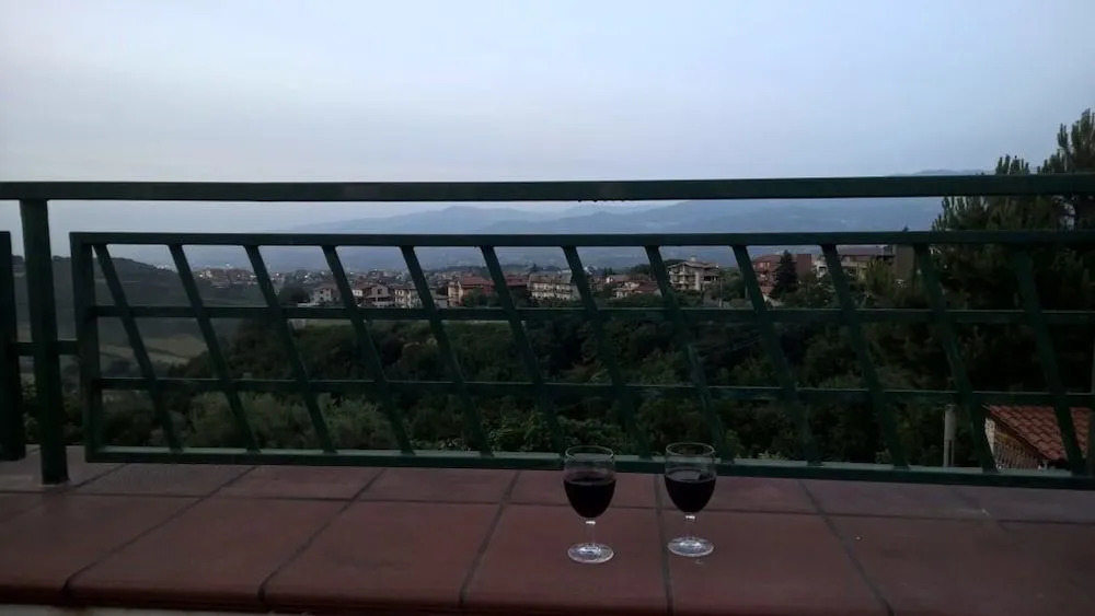 Tetto Verde
