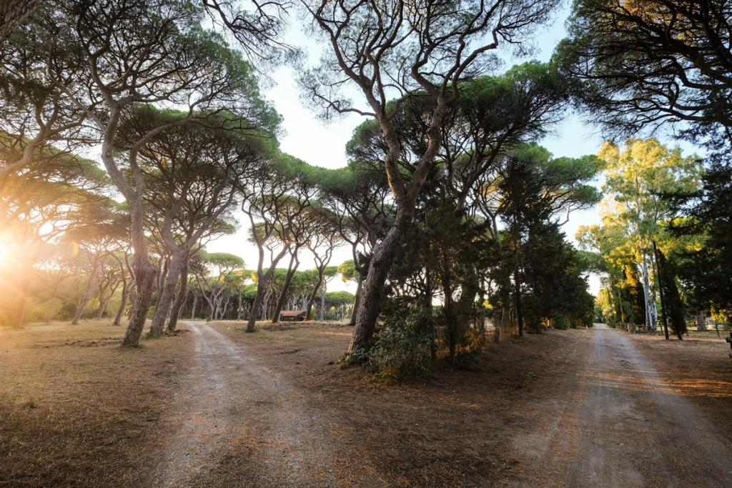 Residence La Canova II