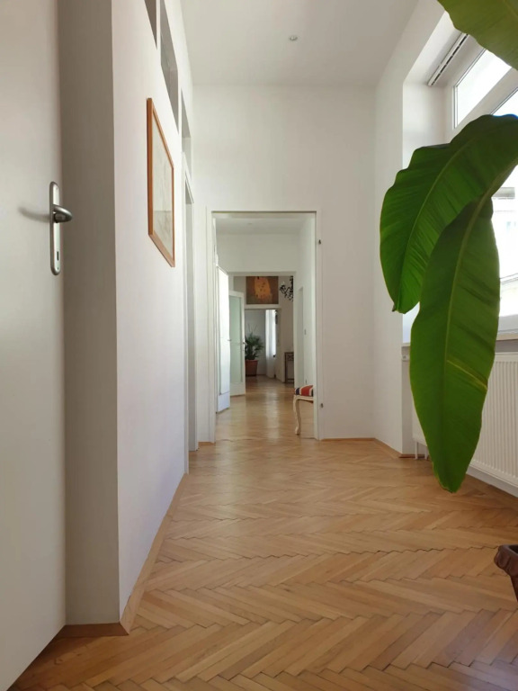 Sunny and spacious apartment near city centre