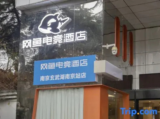 Wenzheng E-sports X Light Luxury Hotel (Xuanwu Lake Park Nanjing Station)
