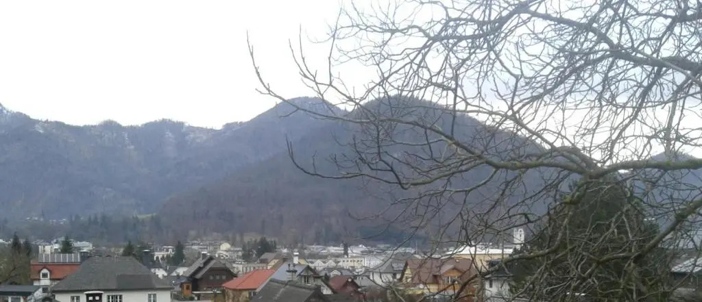 Liuis