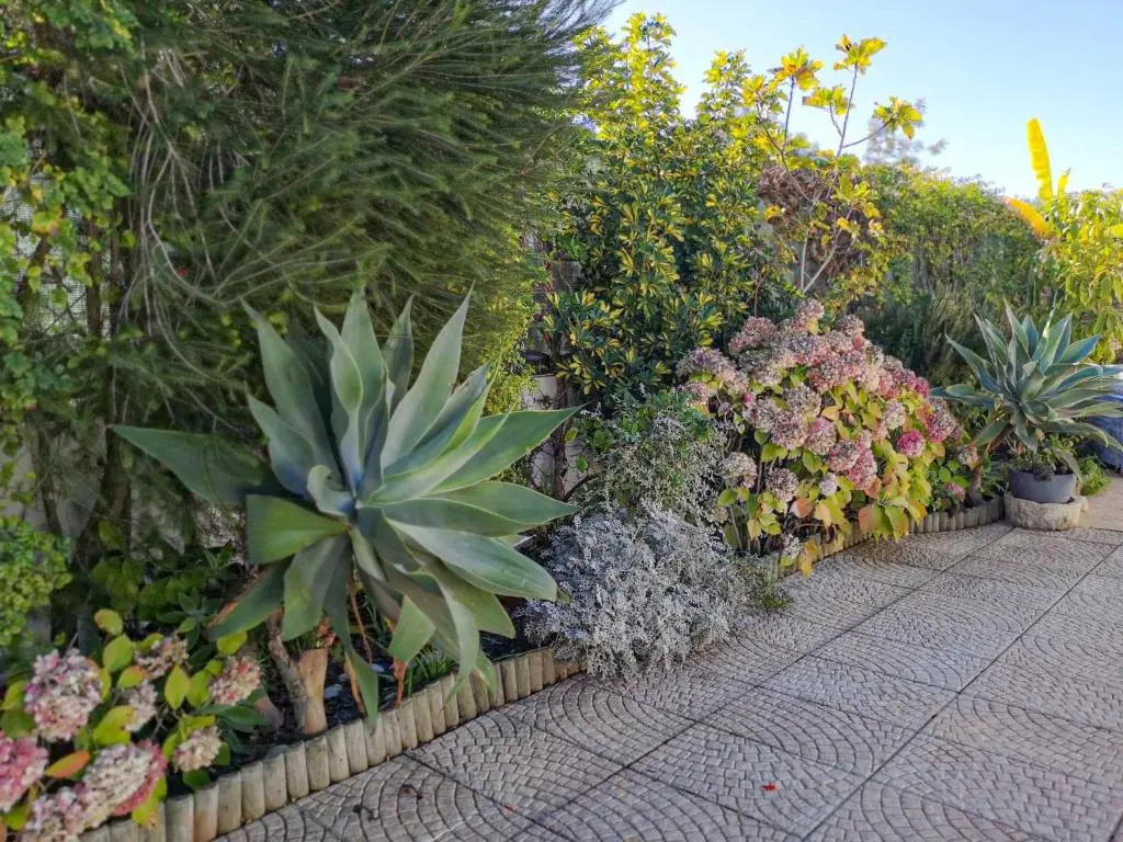 Vila da Encosta - Private - Heated swimming pool - By bedzy