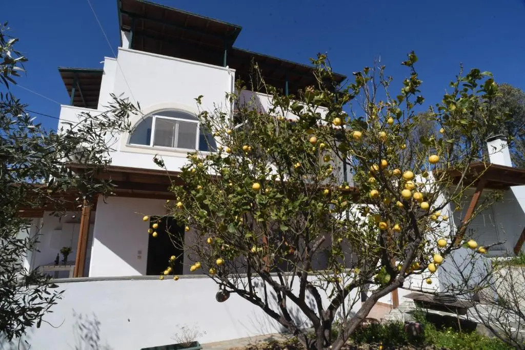 Bernie House
