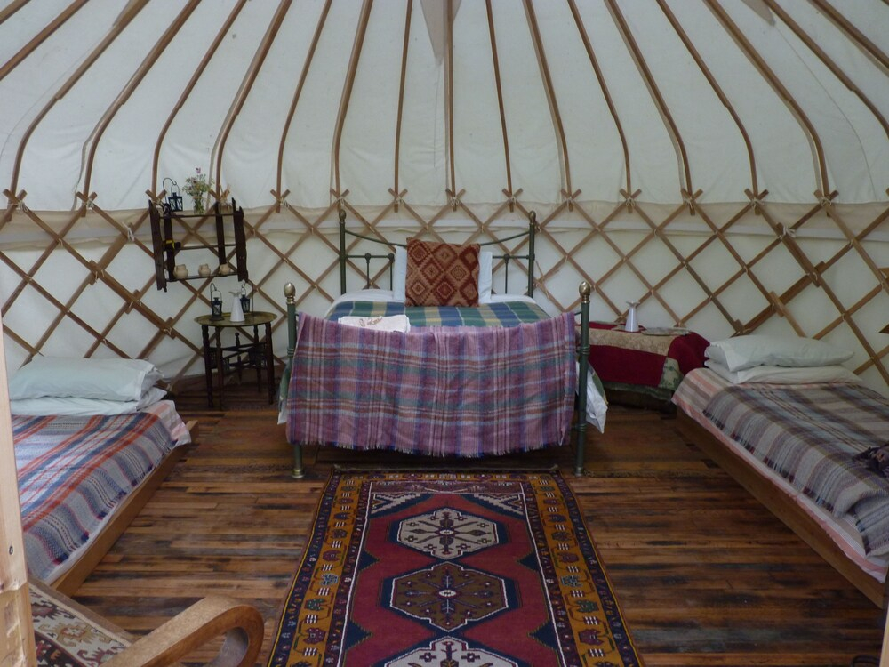 Ceridwen Glamping, double decker bus and Yurts