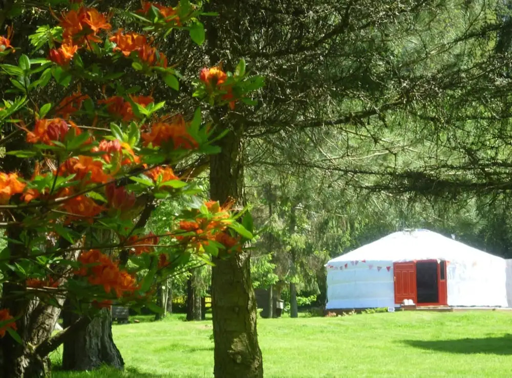 Newmoor Park Guest House
