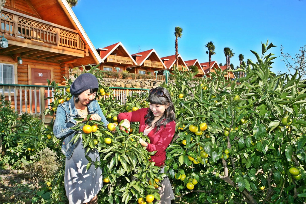 Jungmun Log Pension & Resort