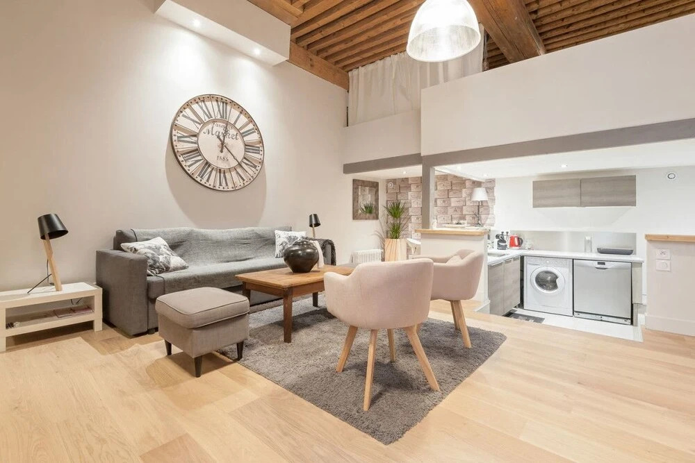 Very Comfortable Loft in Croix-rousse