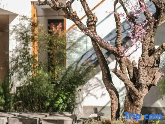 Mishan Xiyun Lake View Homestay Resort