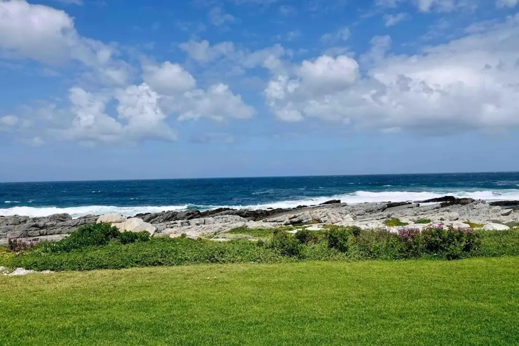Whales & Waves