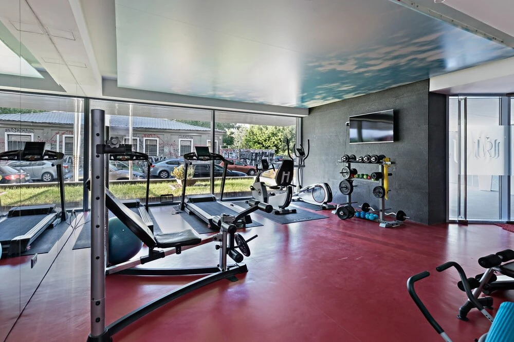 Vernescu Luxury Residence