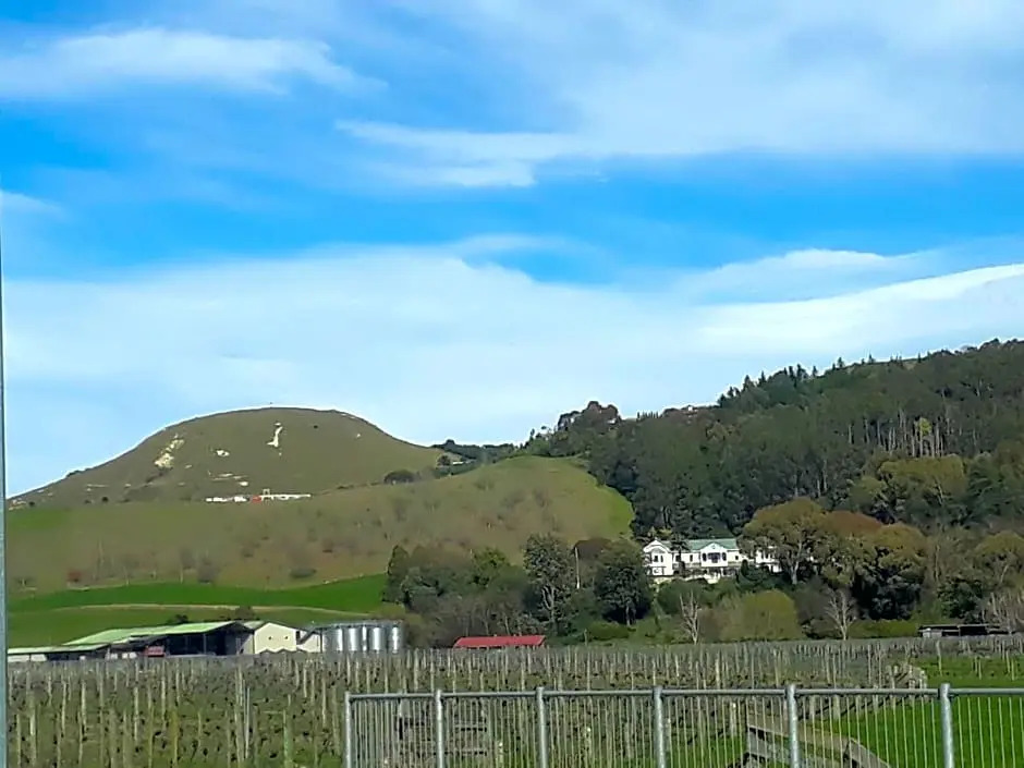 Hidden Gem in Oaklands