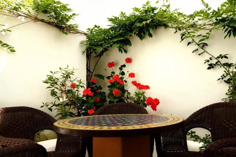 Apartamentos La Jabega Conil