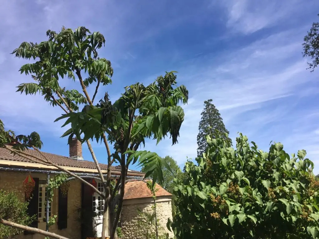 Le Logis des Quatre Puits