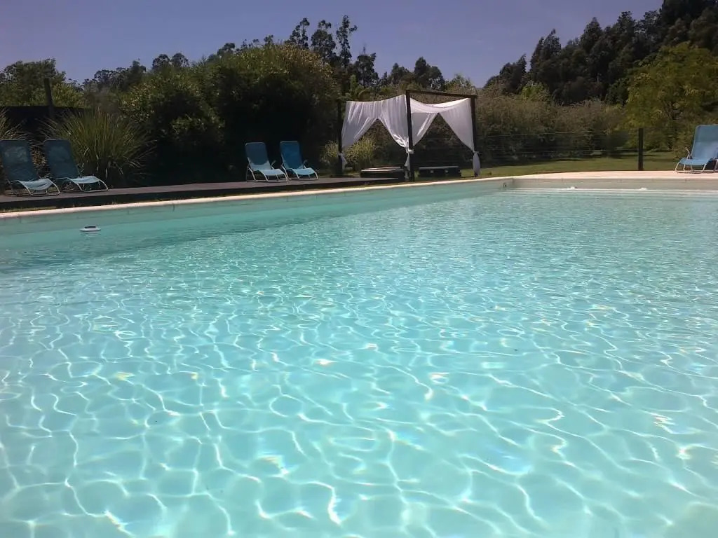 Las Cortaderas