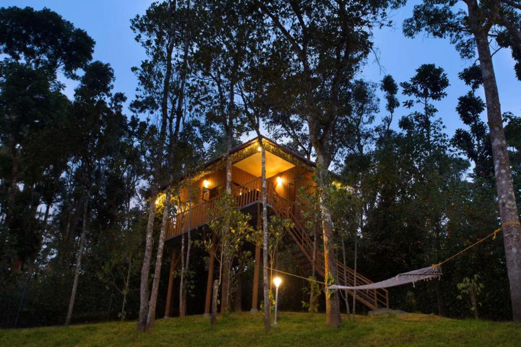 Spices Lap Thekkady