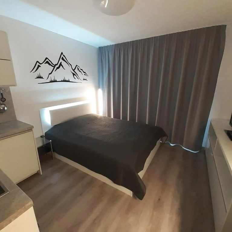 Mountain View Studio Apartment