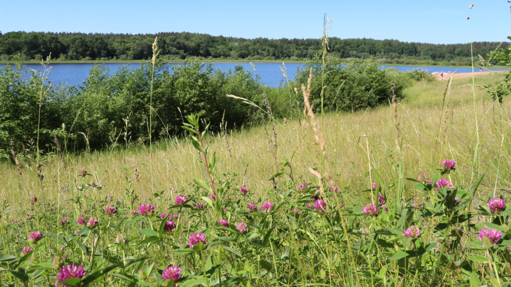 Lottsy Sanatorium