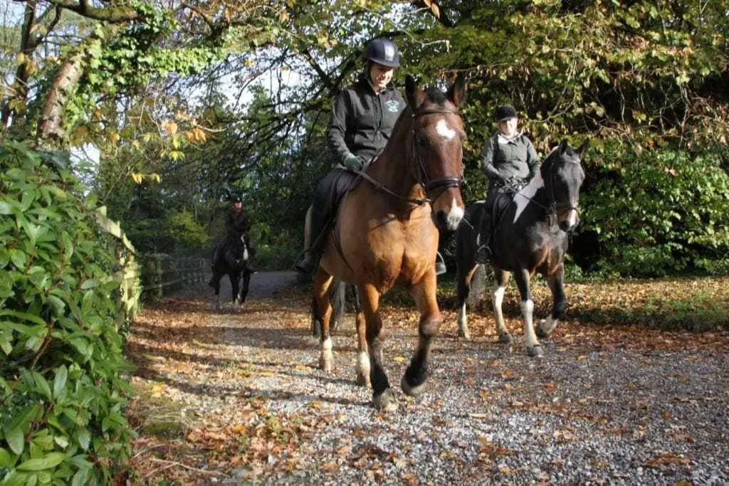 The Valley Hotel & Carriage Gardens