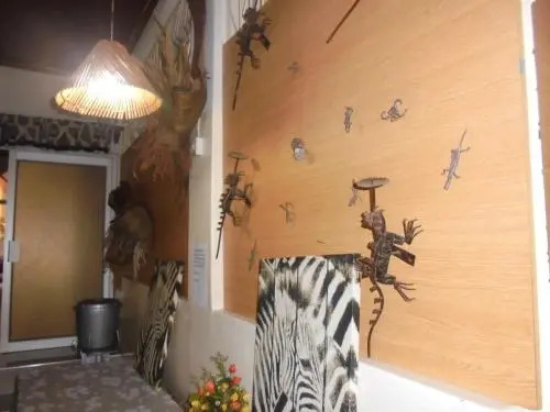 Zebra Guest House