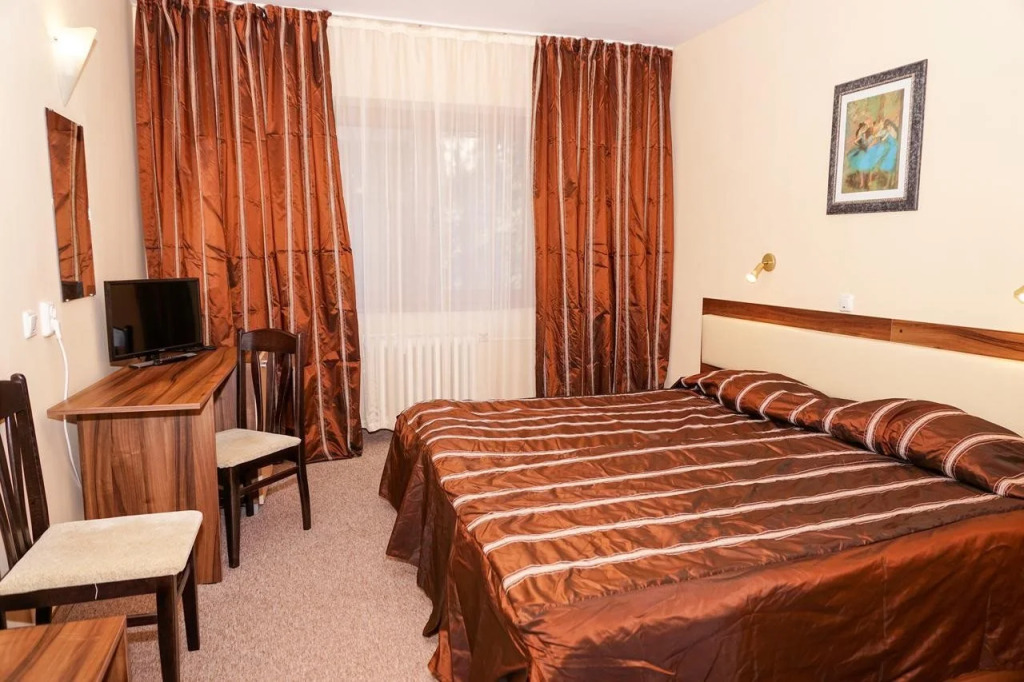 Hotel Bor