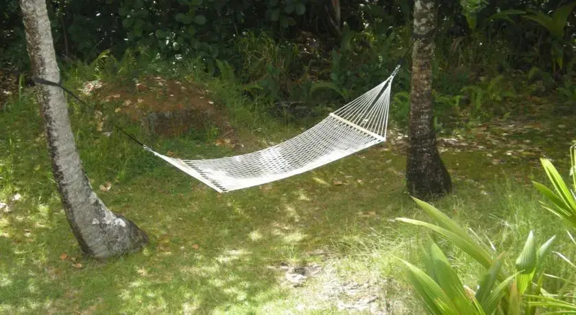 Hilo Whale House