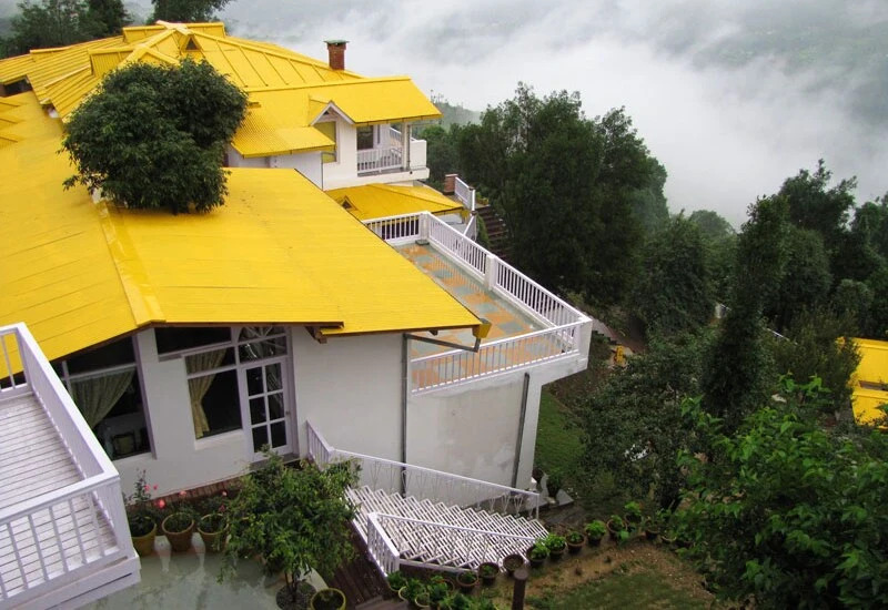 Te Aroha Dhanachuli
