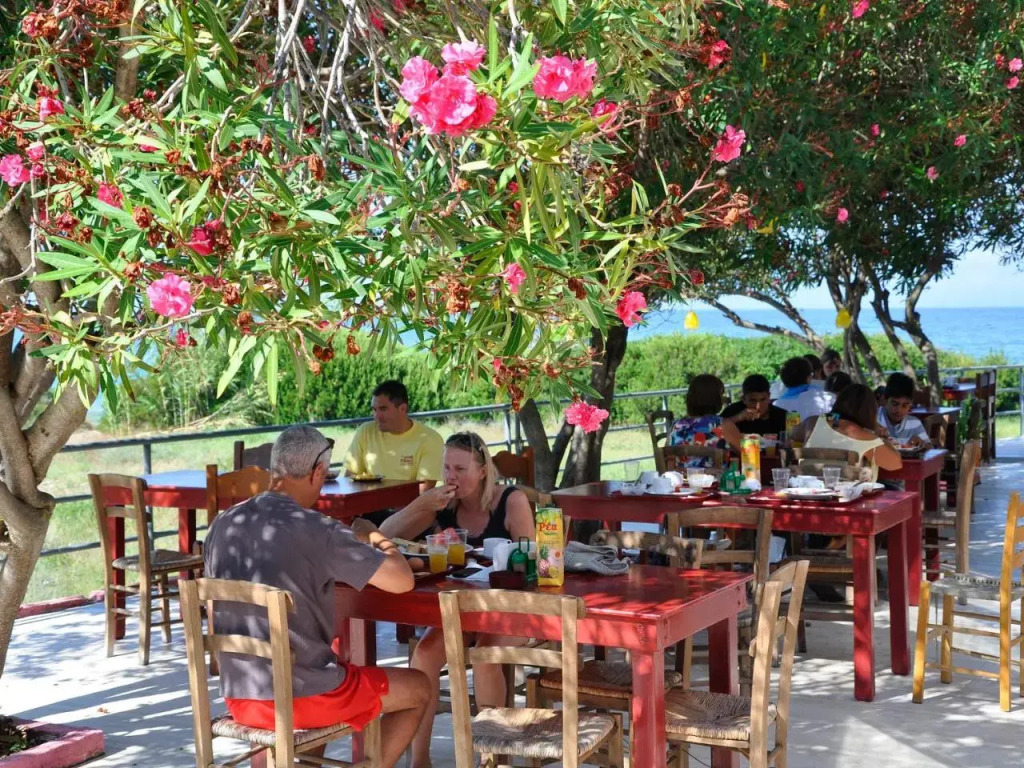 Pink Palace Beach Resort