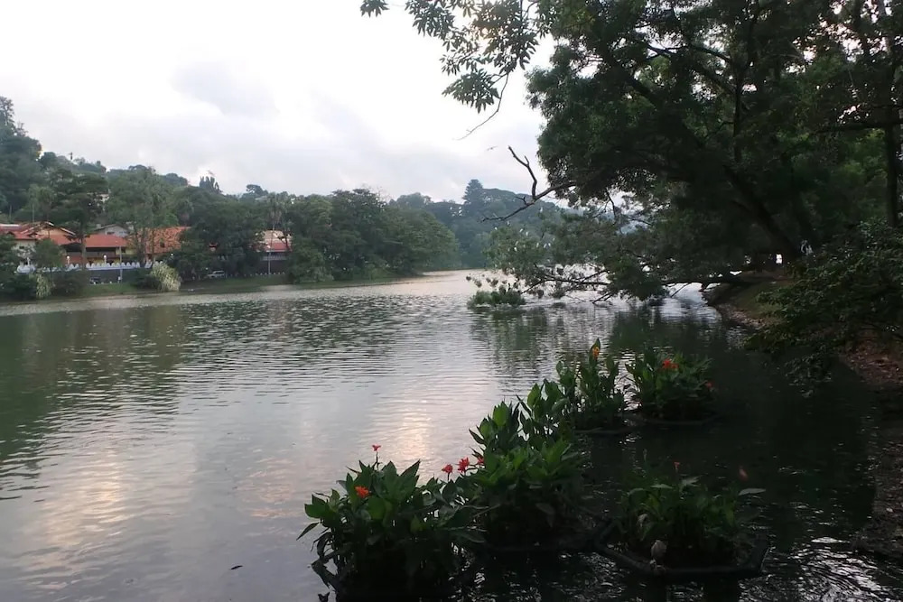 Luxury villa Costanza