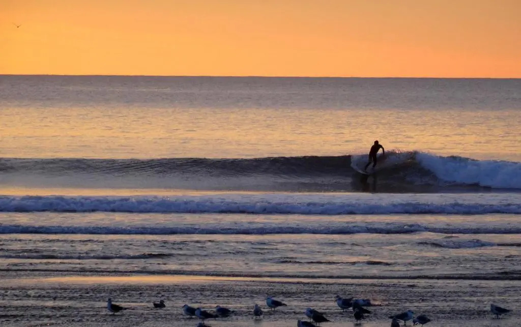Hostel DAvenida