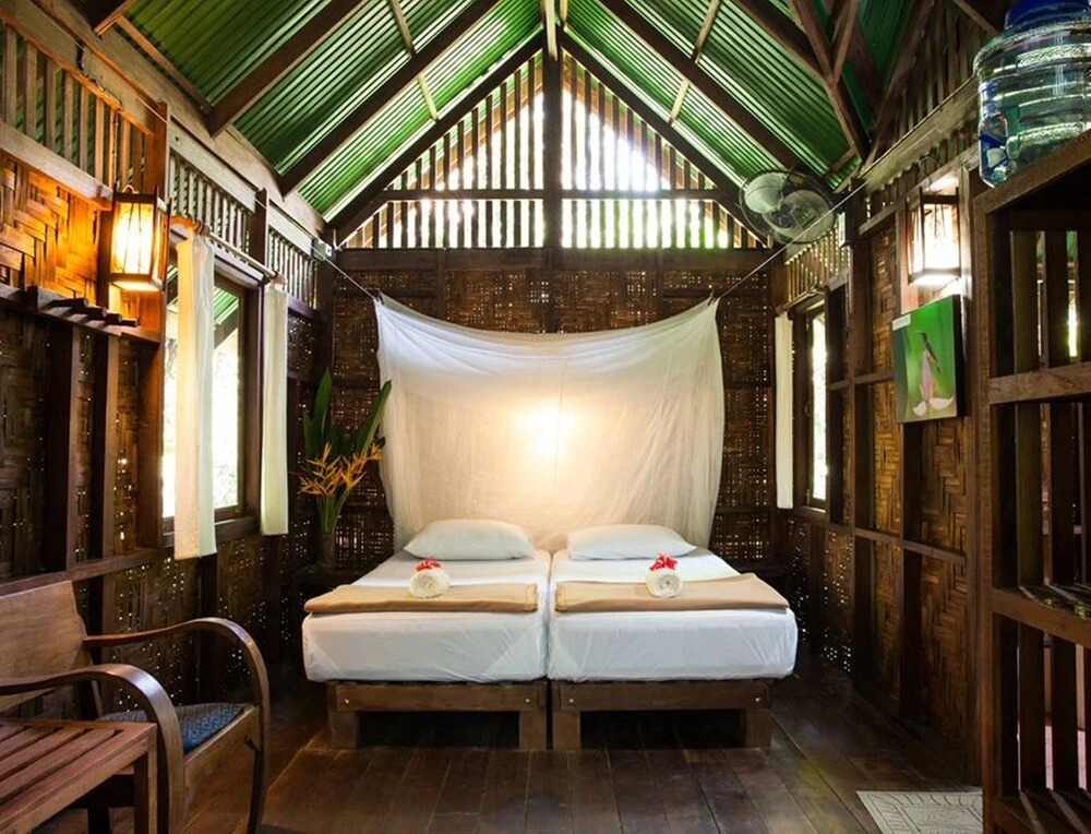 Our Jungle House