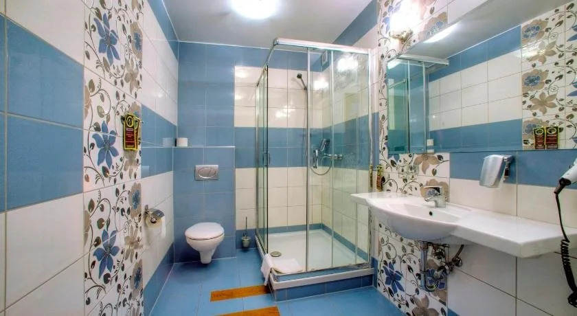 Hotel Carpatia Bieszczadzki Gościniec