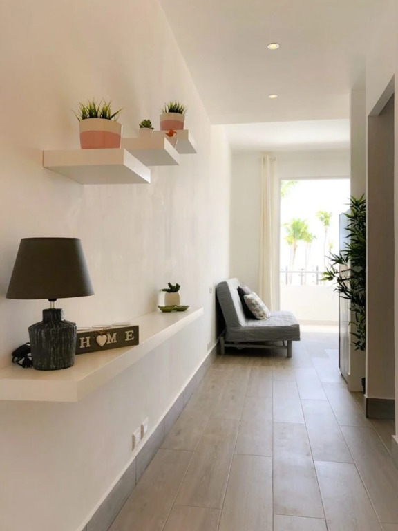 Ducassi 408