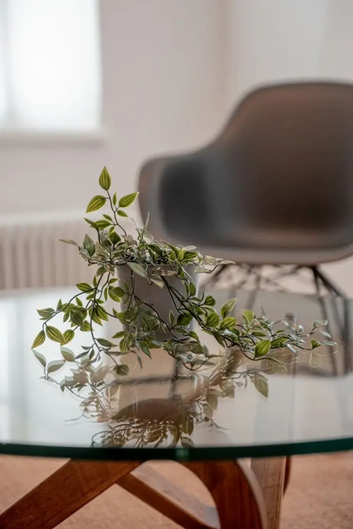Tergestroom & boutique apartments