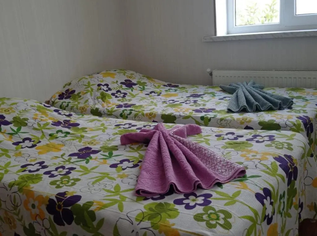Bizim Ev hostel
