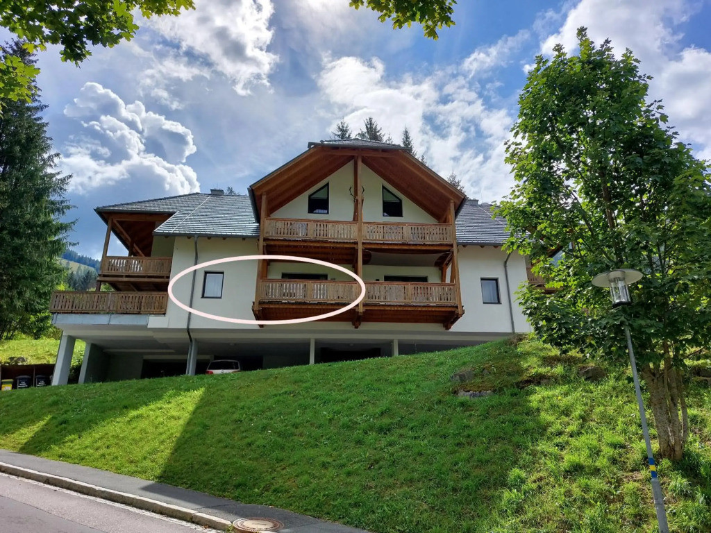 ALPENFLAIR - charming ski-to-door apartment