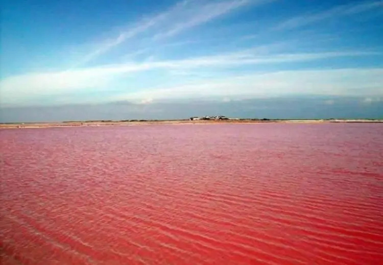 Macerana 1, Torreta III, Torrevieja