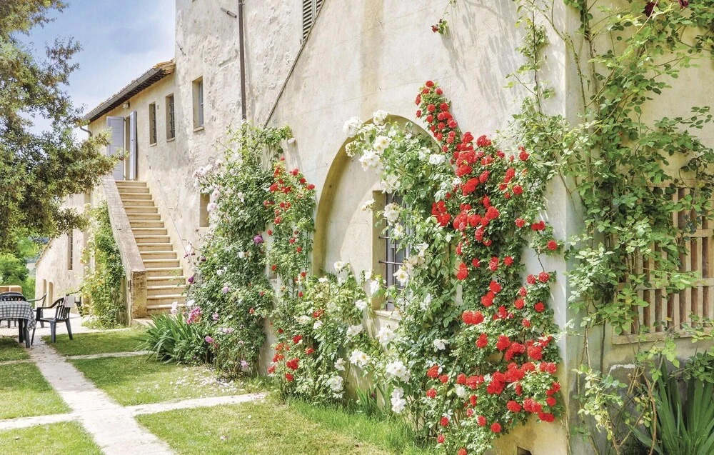 Sanlucchese 2