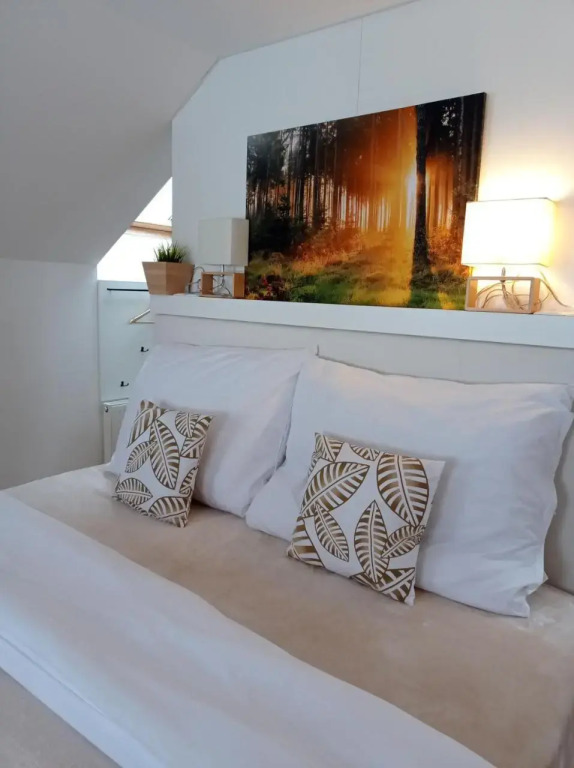 Apartmány Karlovický dvůr