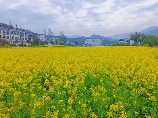 Wuyuan Wanling Inn (Jiangwan Scenic Area)